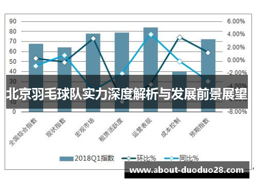 北京羽毛球队实力深度解析与发展前景展望