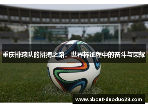 重庆排球队的拼搏之路：世界杯征程中的奋斗与荣耀