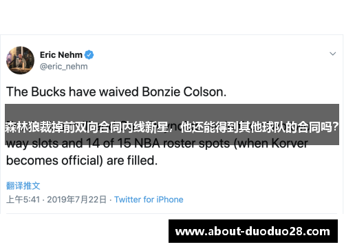 森林狼裁掉前双向合同内线新星，他还能得到其他球队的合同吗？