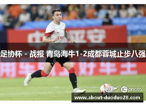足协杯 - 战报 青岛海牛1-2成都蓉城止步八强